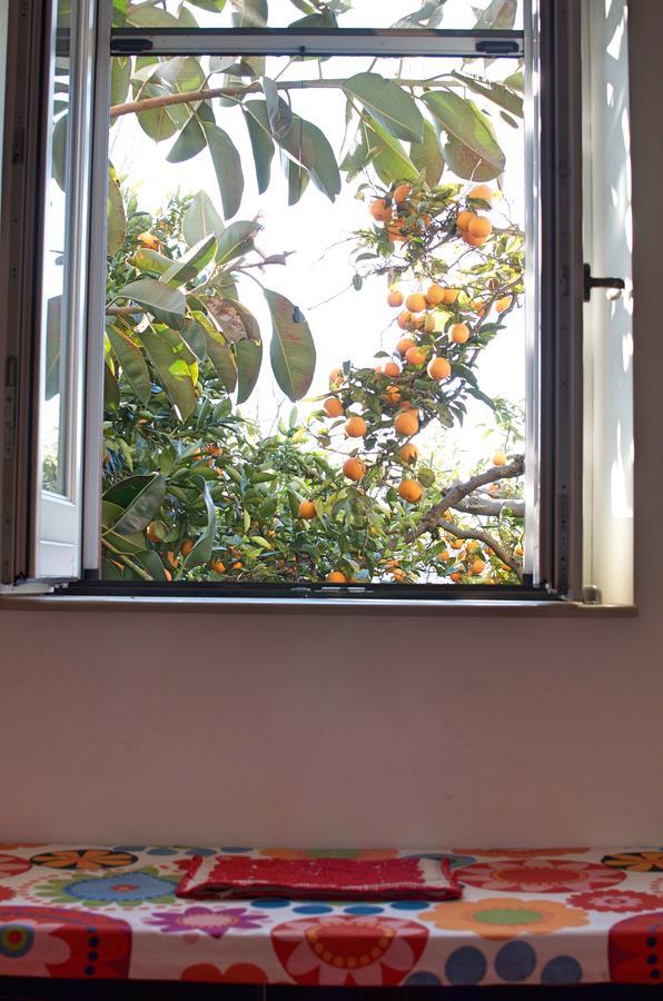 Bed and Breakfast Il Giardino Del Sole Roccarainola Экстерьер фото